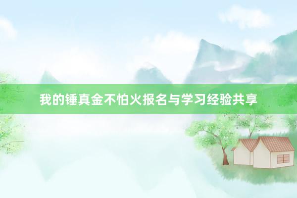 我的锤真金不怕火报名与学习经验共享