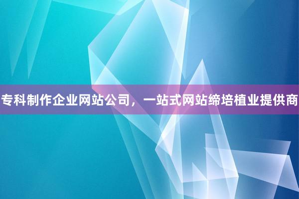 专科制作企业网站公司，一站式网站缔培植业提供商