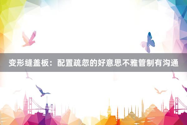 变形缝盖板：配置疏忽的好意思不雅管制有沟通