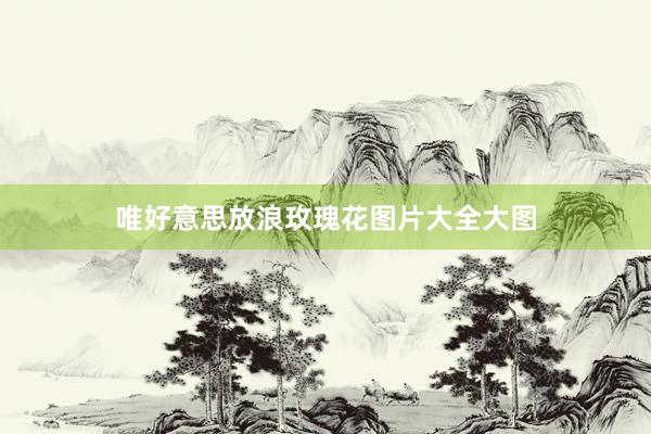唯好意思放浪玫瑰花图片大全大图